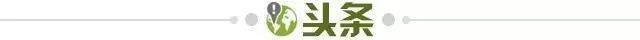 鲸鱼直播-【早报】吃饱饭的桑乔，多特的真命天子！